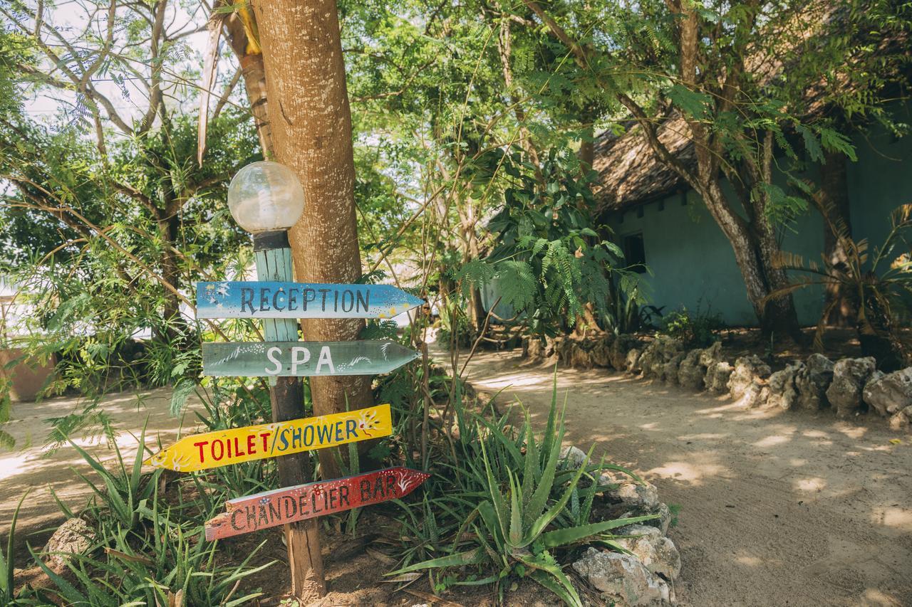 Mikadi Beach Camp & Backpackers Albergue Dar es Salaam Exterior foto